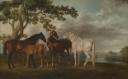 George Stubbs, ‘Mares and Foals in a River Landscape’ c.1763–8